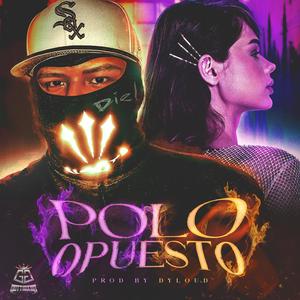 Polo opuesto