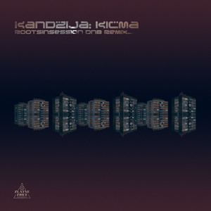 Kičma (Rootsinsession Dnb Remix|Explicit)