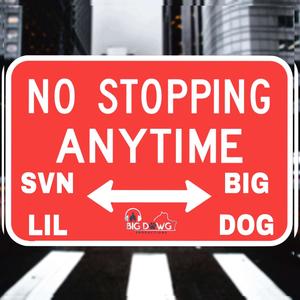 No Stopping (feat. Big Dog) [Explicit]