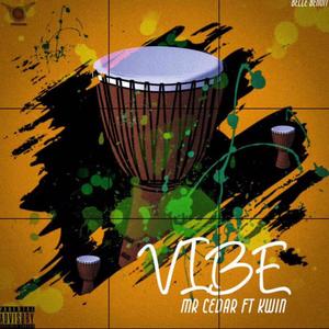 Vibe (feat. Kwin)