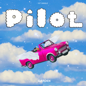 Pilot