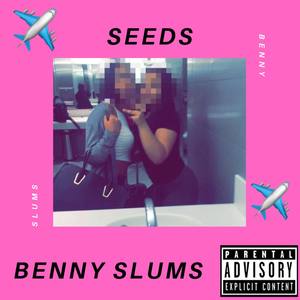 SEEDS (Explicit)