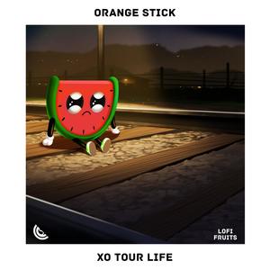 XO TOUR LIFE (Explicit)