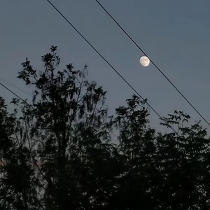 起风了 (Remix) - 遗憾皆在回忆中封面