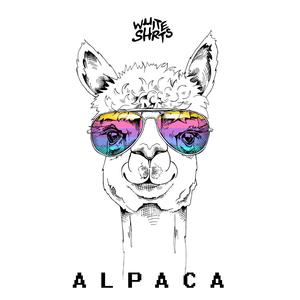 Alpaca