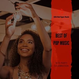 Best Of Pop Music - Nite Party Celebration