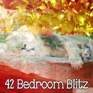 42 Bedroom Blitz