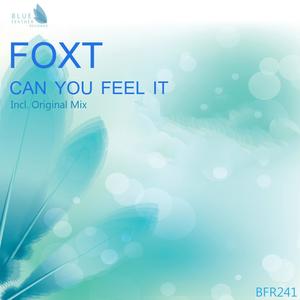 Can You Feel It - Single