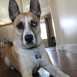 Somebody at Home(feat. Brett Taylor)