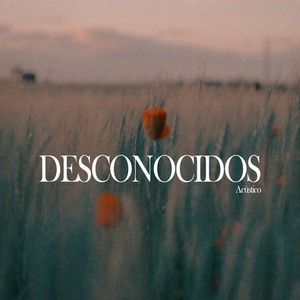 Desconocidos (Acústico)