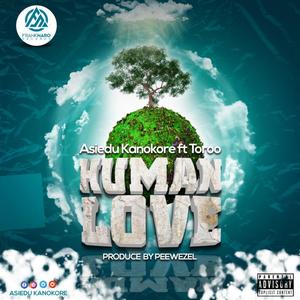 Human Love (feat. Toroo)