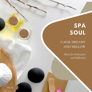 Spa Soul - Calm, Dreamy And Mellow Music For Relaxation And Reflextion, Vol. 12