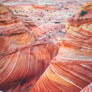 Welness and Mindfulness
