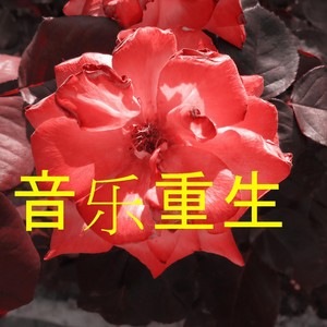 音乐重生