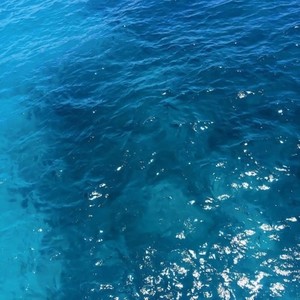 【FREE】夏威夷的小房子（prod by.young vy）