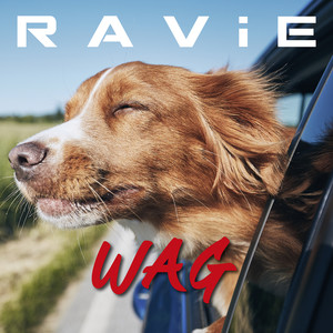 Wag