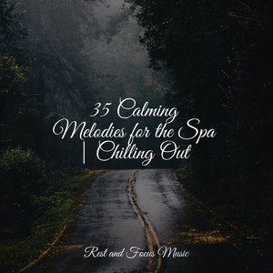 35 Calming Melodies for the Spa | Chilling Out