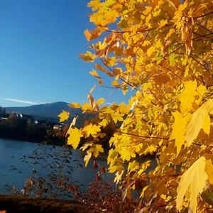 Dissociative & Nihilistic