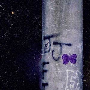 BUTTERFLIES (Explicit)