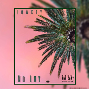 No Luv (Explicit)