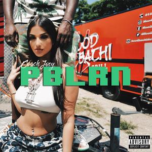 1 In a Million (feat. Payroll Giovanni & Baby Money) (Explicit)