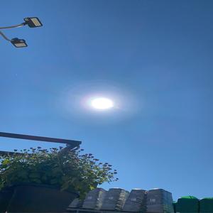 Wonderful Days(2020)