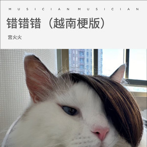 错错错 (越南梗版)