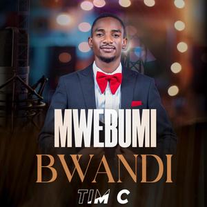 Mwebumi Bwandi