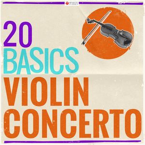 Concerto for Violin and Orchestra in D Minor, Op. 47 - Concerto for Violin and Orchestra in D Minor, Op. 47: I. Andante moderato
