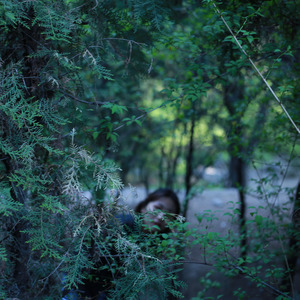 树精 (小混响版)