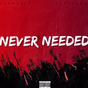 Never Needed (feat. Slutygod) [Explicit]