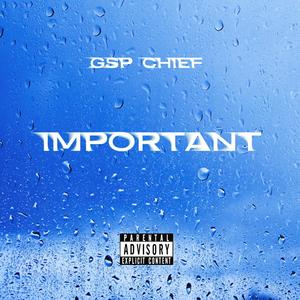 Important (Explicit)