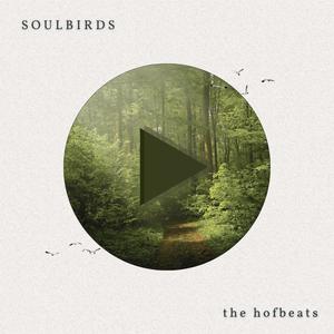 SoulBirds