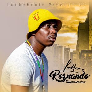 Tingwendza(feat. RoZnando)