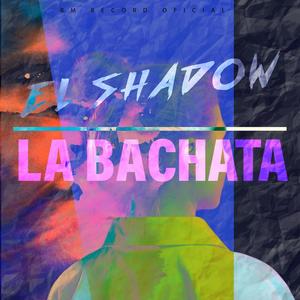 La Bachata (feat. bm record oficial)