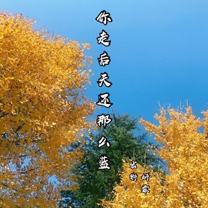 你走后这天还那么蓝