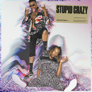Stupid Crazy (Explicit)