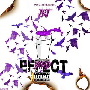 Bird effect (Explicit)