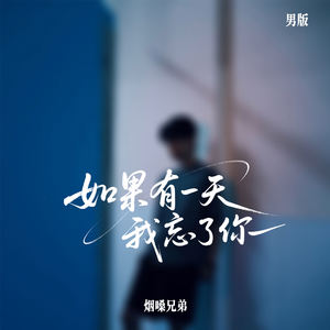 如果有一天我忘了你