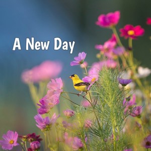 A New Day