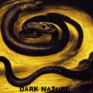 Dark Nature