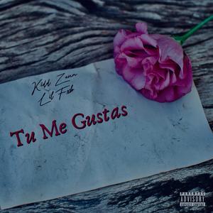 Tu Me Gustas (feat. Lil Fxb)