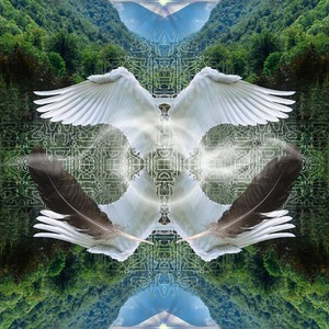ReAlignment