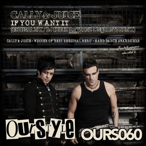 If You Want It (DJ Chuck-E & Tranz-Linquants Remix)