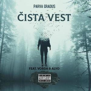 Čista vest (feat. VorDa & Alyo) [Explicit]