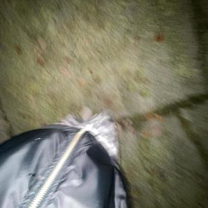 chanel (feat. Seese17) (Explicit)