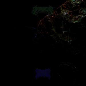 Metamorphous Disorder