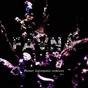 Borviy (Planet Automatic Remix)