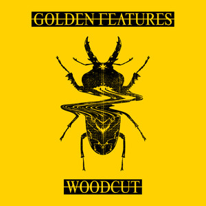 Golden Features - Woodcut (feat. Rromarin) (Machinedrum Remix)