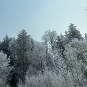 eigentlichsommer (Explicit)